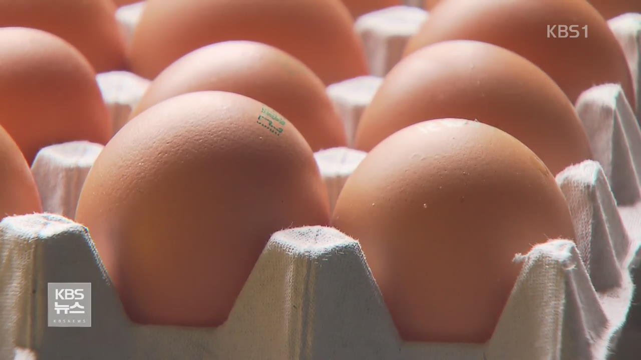 부실 조사 의혹 달걀 보완 조사…420곳 대상