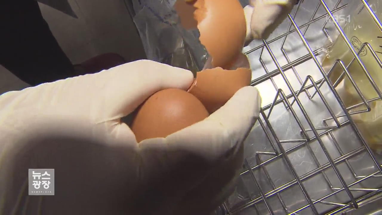 ‘살충제 달걀’ 추가 검사 결과 오늘 발표…“인증제 개선”