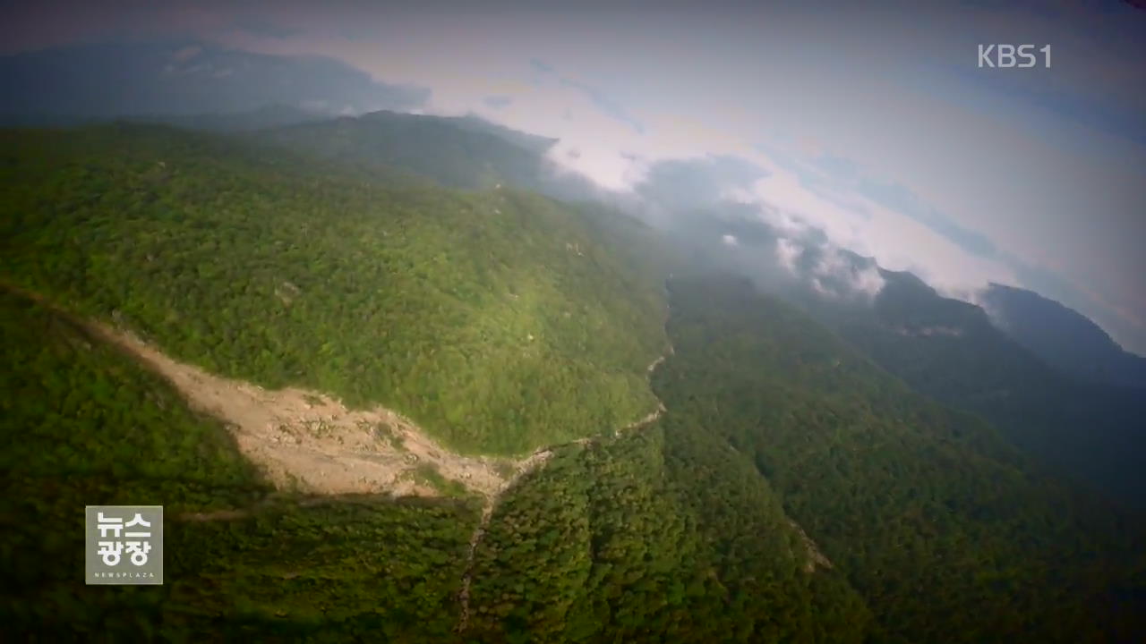 산마다 토석 ‘와르르’…대형 생태파괴 속수무책