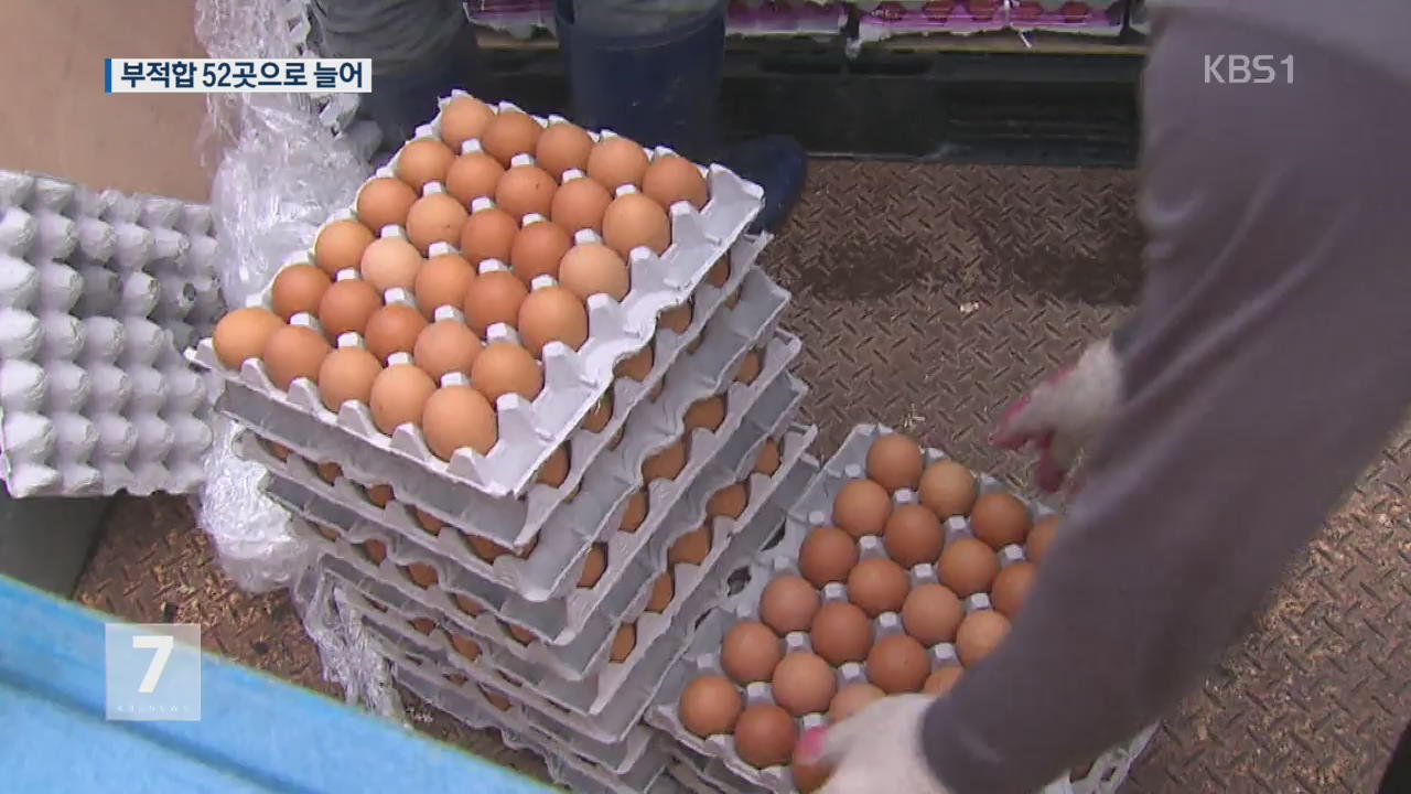 ‘살충제 달걀’ 보완 검사서 ‘부적합 농장’ 3곳 추가