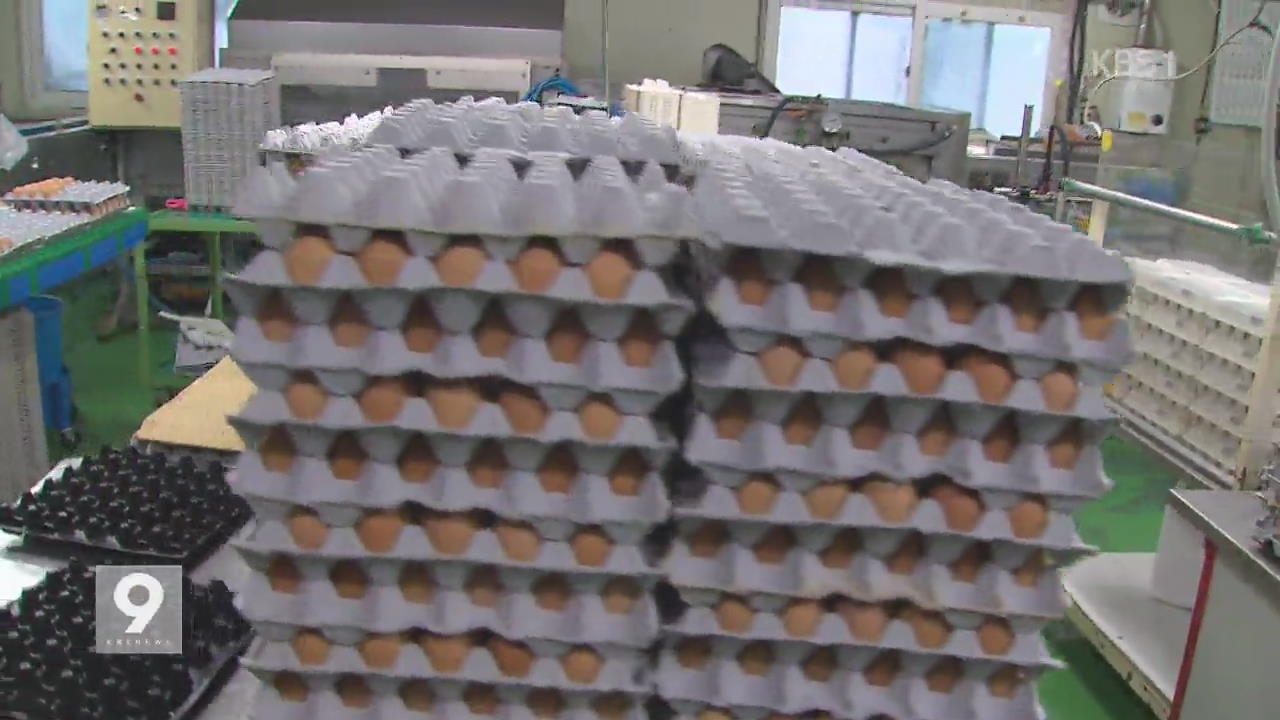 ‘살충제 달걀’ 회수율 20% 미만…3천3백만 개 팔렸다