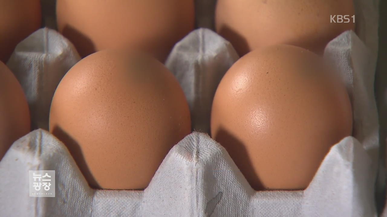 ‘살충제 달걀’ 보완조사서 ‘부적합 농장’ 3곳 추가
