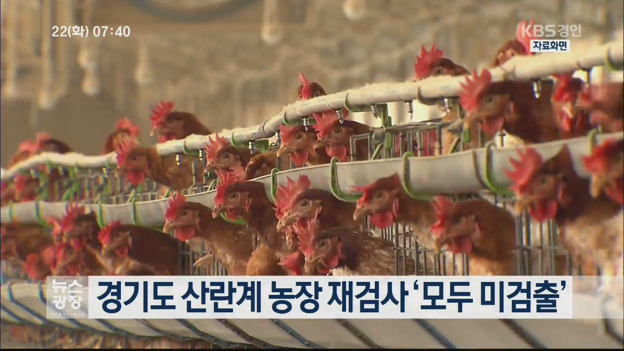 경기도 산란계 농장 재검사 ‘모두 미검출’