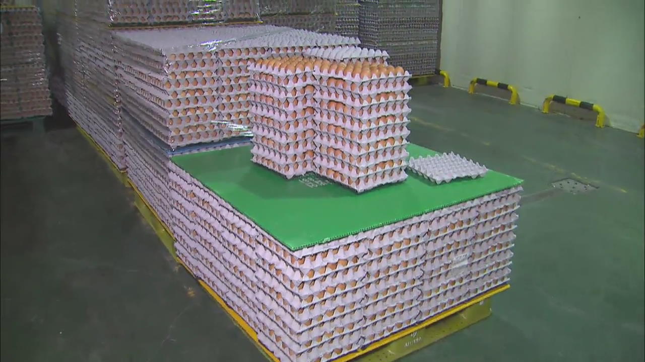 Contaminated Eggs