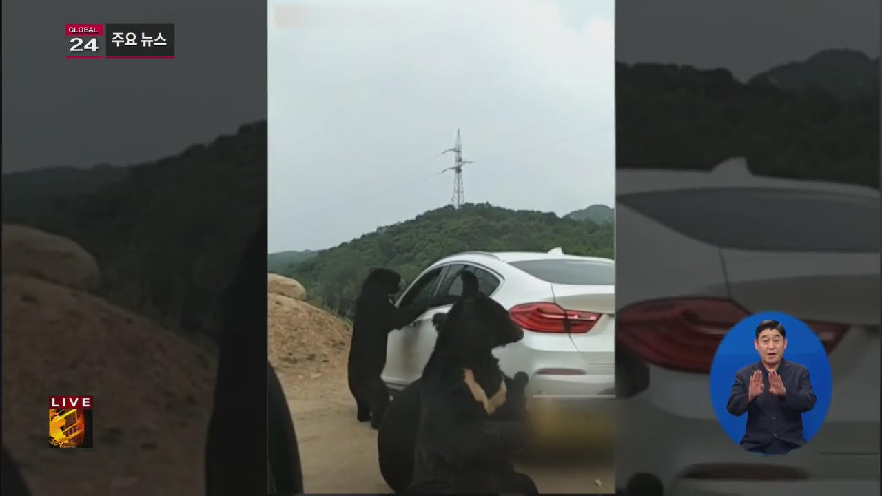 [글로벌24 주요뉴스] 中, 동물원서 곰에게 먹이 주다 봉변당한 남성