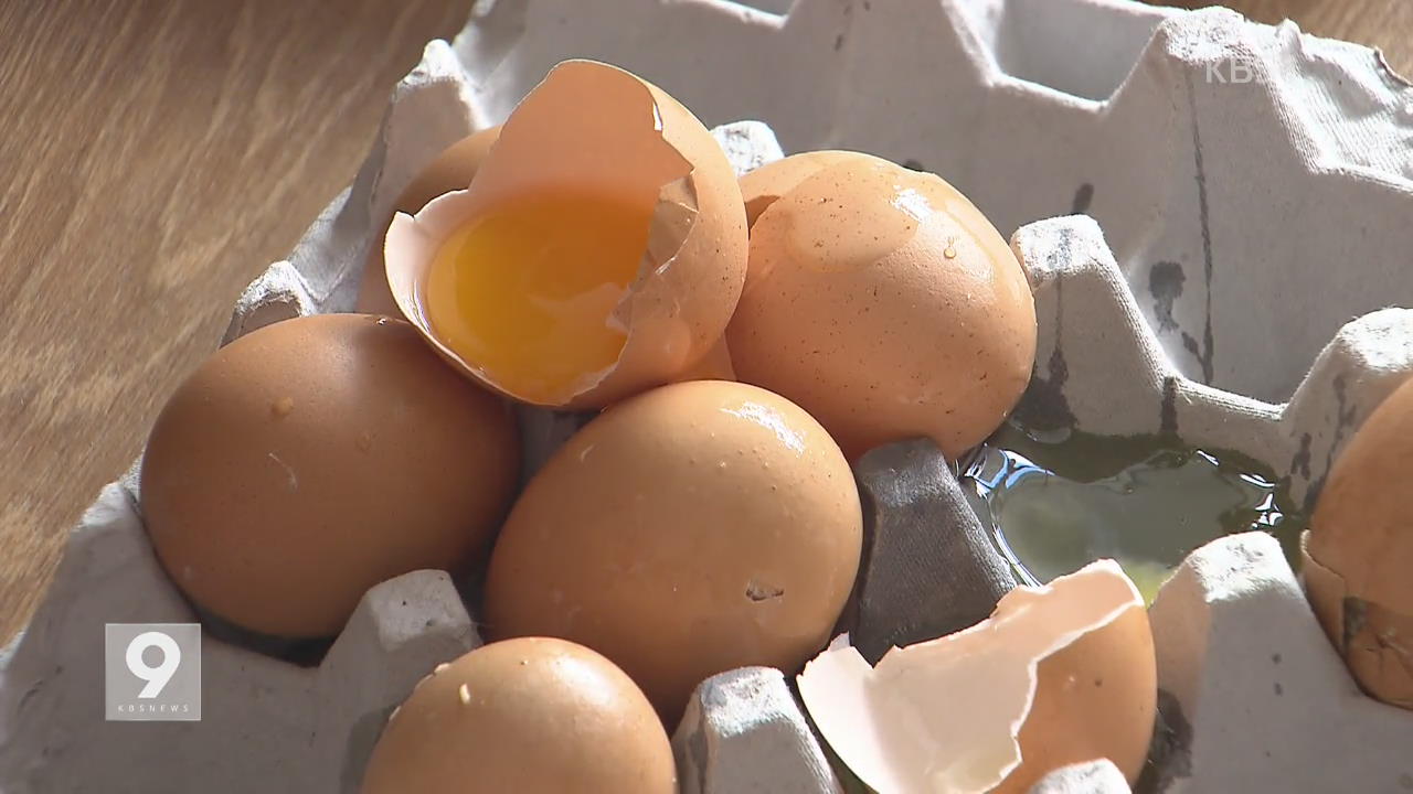 난각코드 없는 ‘저질 달걀’…헐값에 유통
