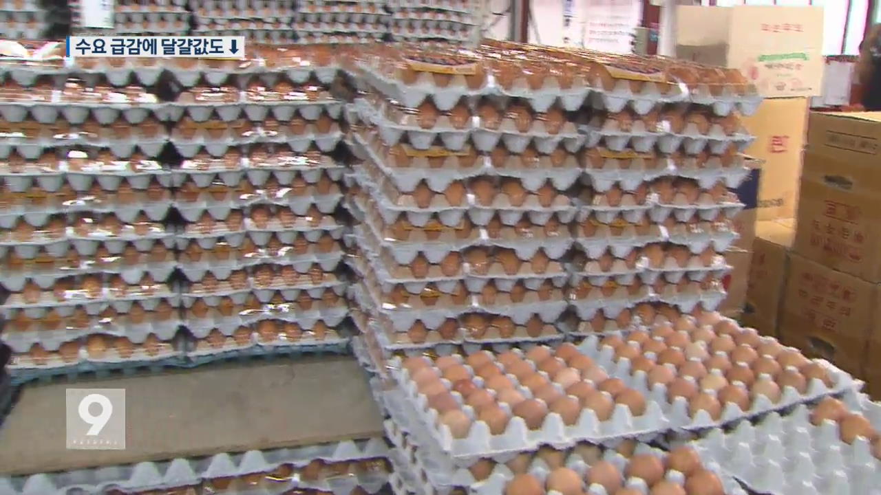 달걀 도매 값 폭락 조짐…양계 농가·상인 ‘비상’