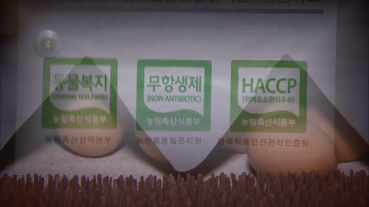 살충제 검출 달걀의 60%는 ‘친환경’…왜?