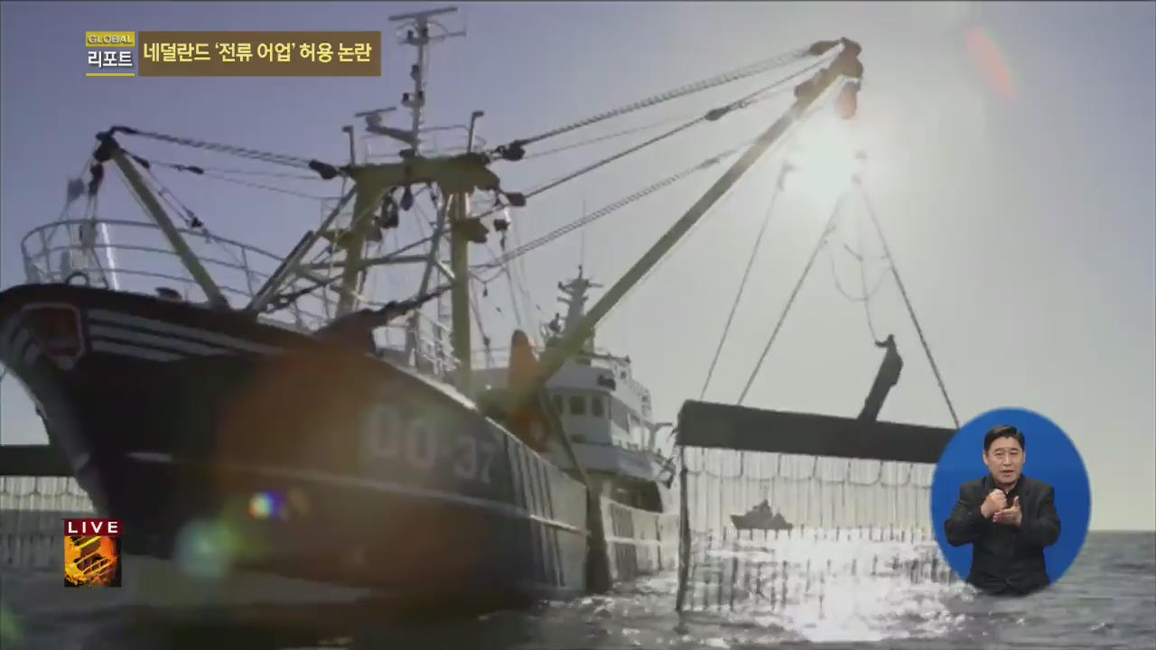 [글로벌24 리포트] 네덜란드 ‘전류 어업’ 허용 논란