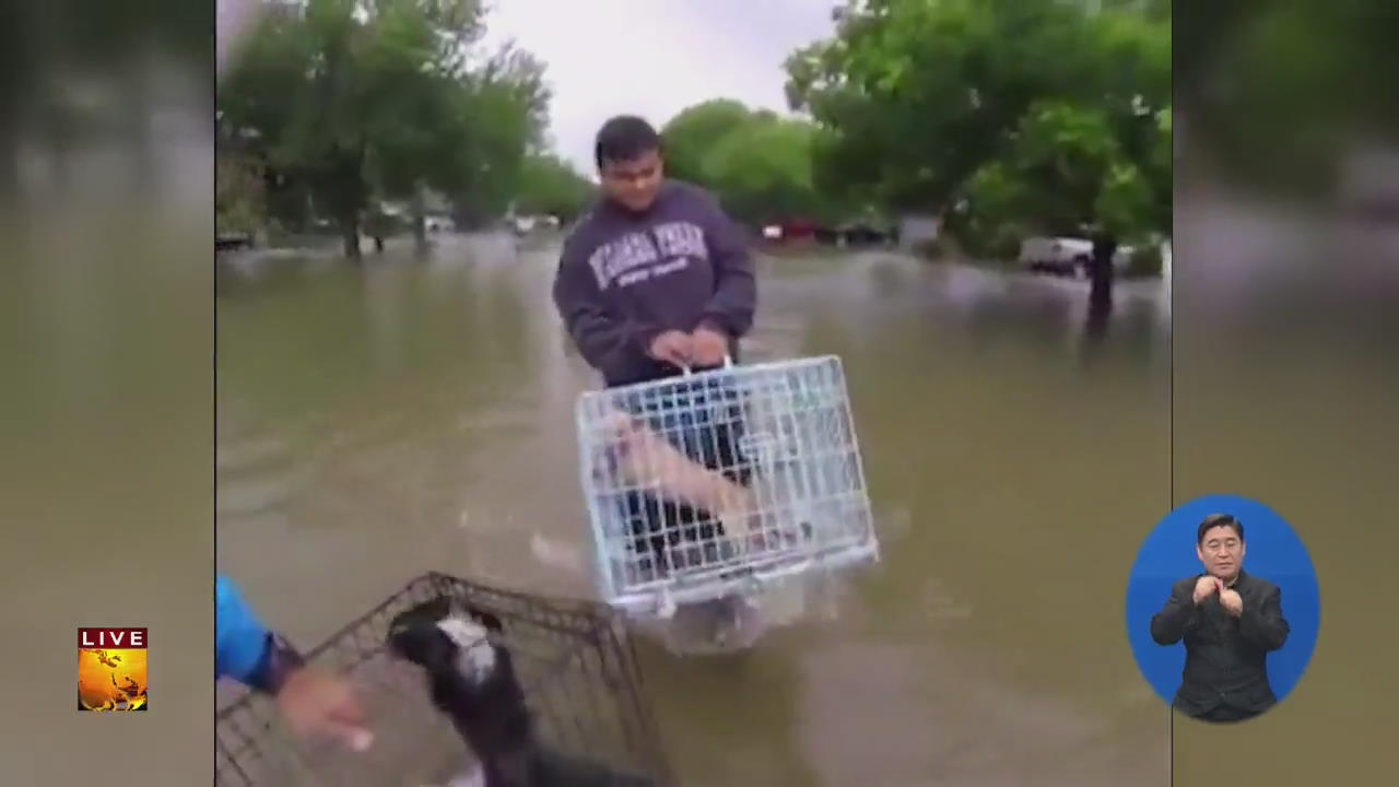 [글로벌24 브리핑] ‘폭우에 갇힌 동물을 구하라’