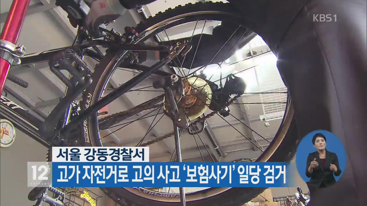 고가 자전거로 고의 사고 ‘보험사기’ 일당 검거