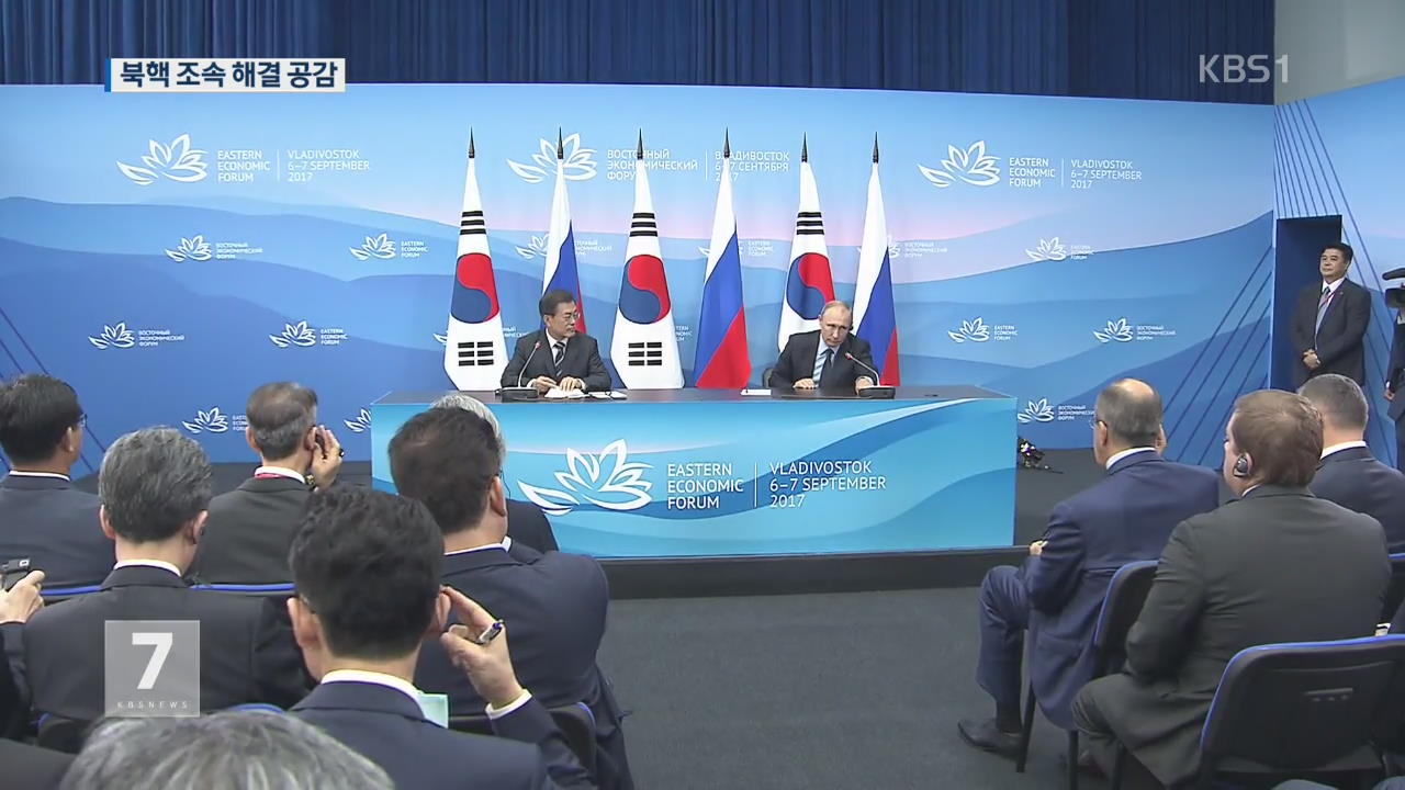 한러 정상 “北 핵·미사일 문제 조속 해결” 공감
