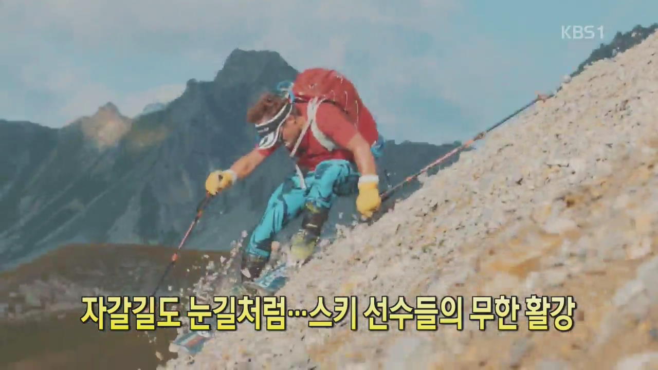 [디지털 광장] 자갈길도 눈길처럼…스키 선수들의 무한 활강