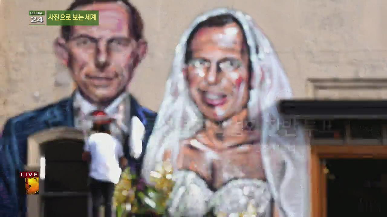 [글로벌24 사진] 호주 시드니, 동성결혼 합법화 찬반 투표 외