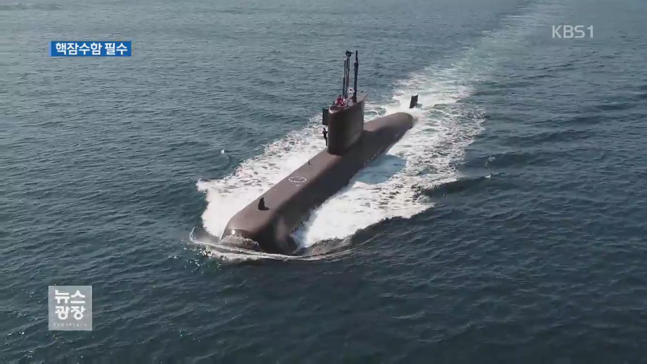 北 SLBM 방어에 “핵추진 잠수함 필요”