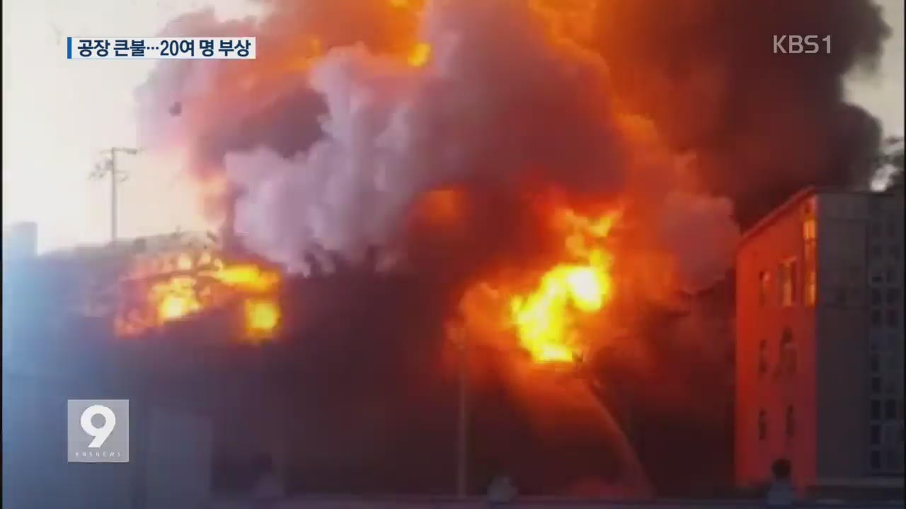 포장재 공장 폭발 후 ‘큰불’…소방관 포함 20여 명 부상