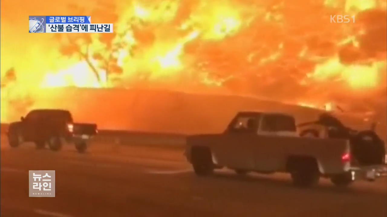 [글로벌 브리핑] 도로까지 덮친 美 산불…“차 안도 뜨거워”