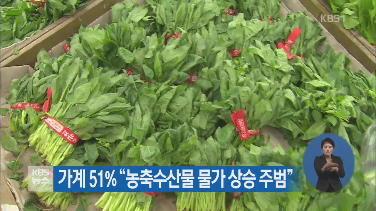 가계 51% “농축수산물 물가 상승 주범”