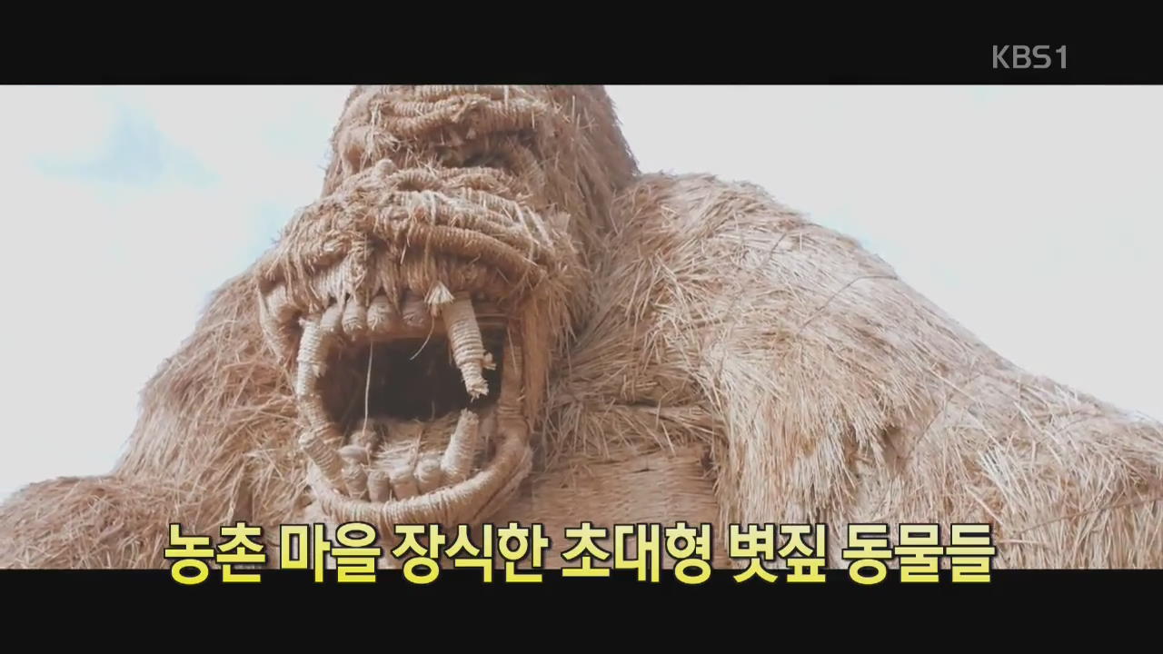 [디지털 광장] 농촌 마을 장식한 초대형 볏짚 동물들