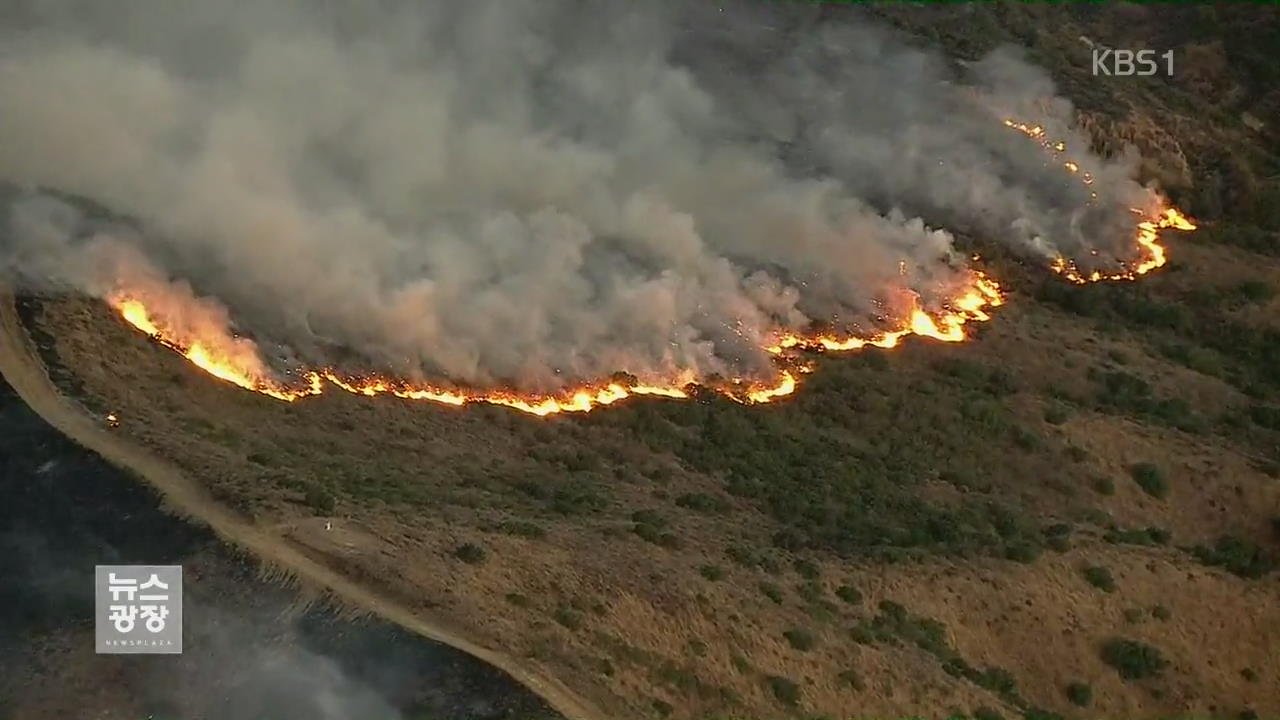 美 캘리포니아 최악의 산불…최소 13명 사망