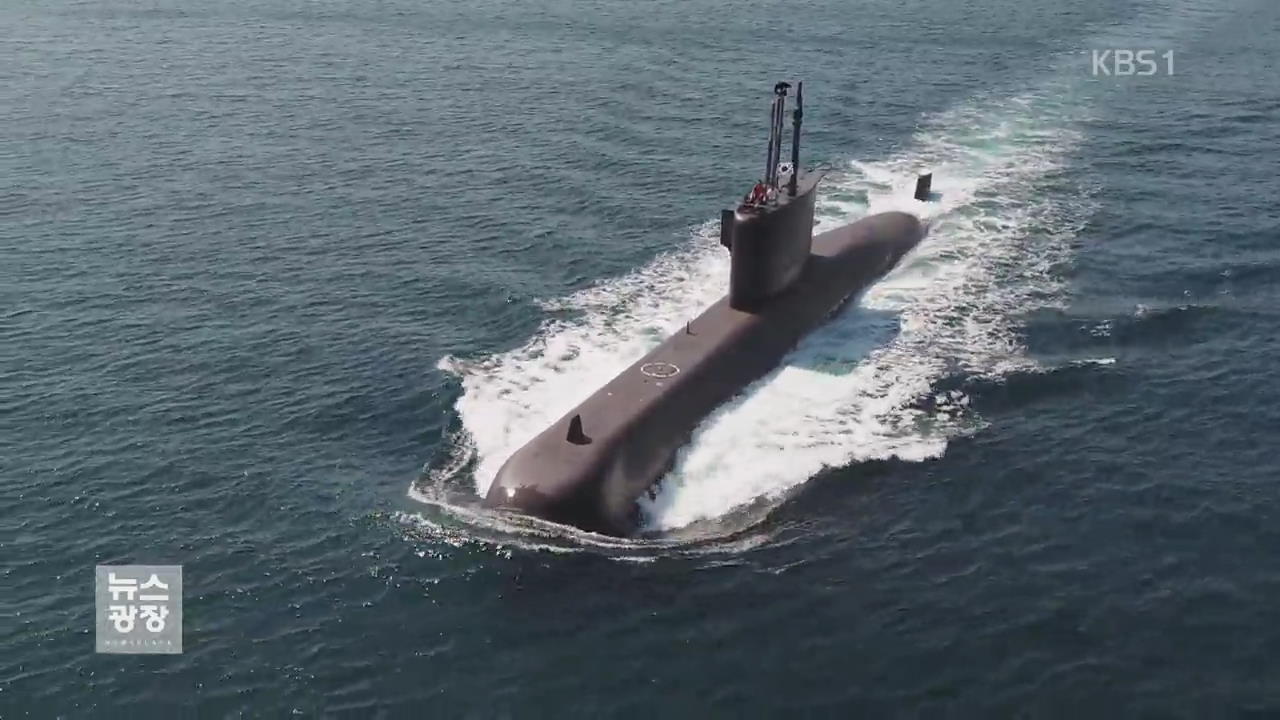 3천톤급 잠수함 ‘장보고-3’ 전투·소나체계 국산화 성공