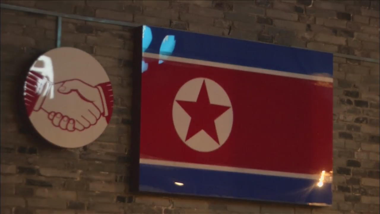 North Korean Terror