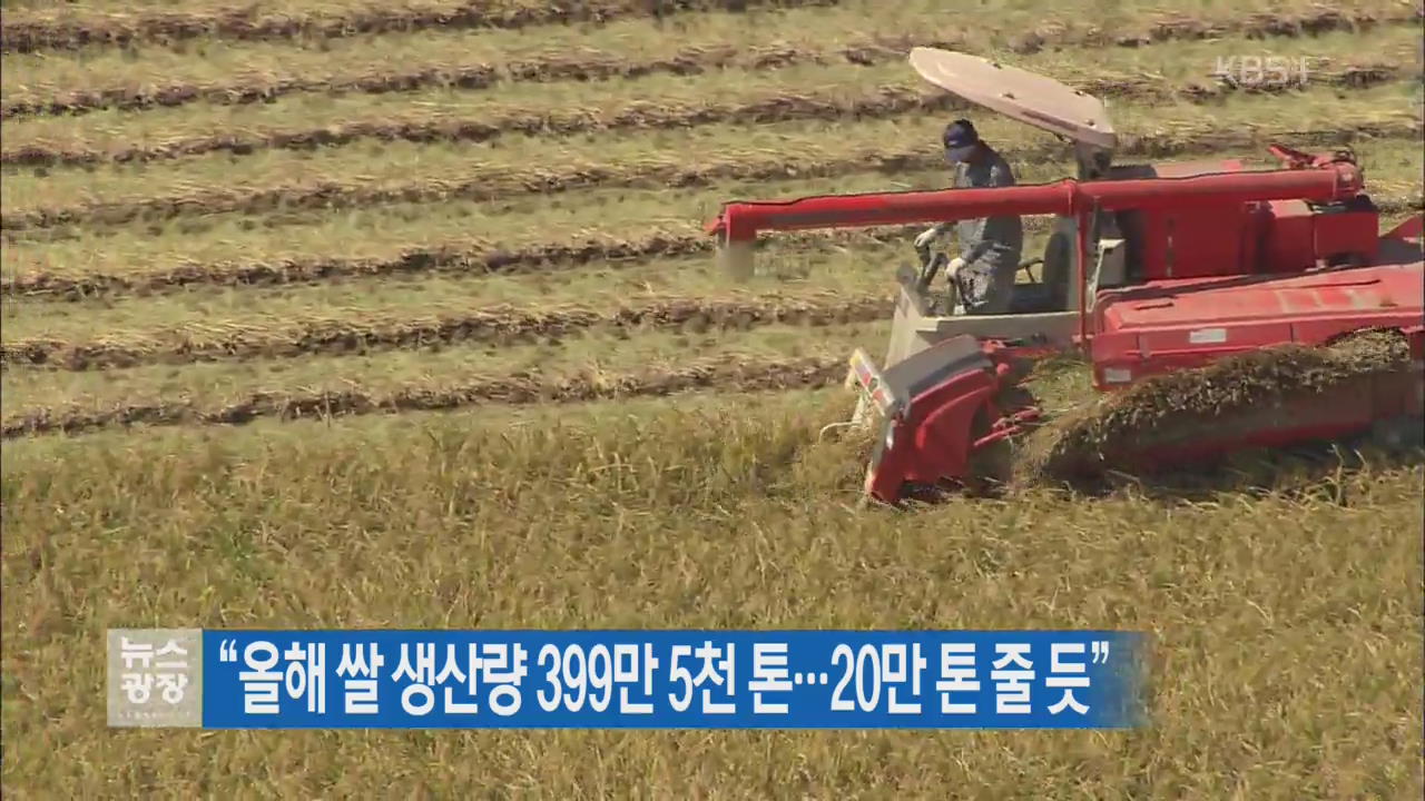 “올해 쌀 생산량 399만 5천 톤…20만 톤 줄 듯”