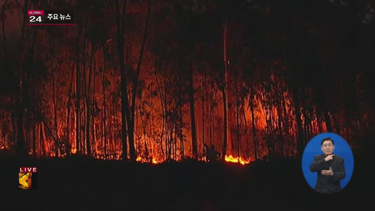[글로벌24 주요뉴스] 포르투갈 대규모 산불…30여 명 숨져