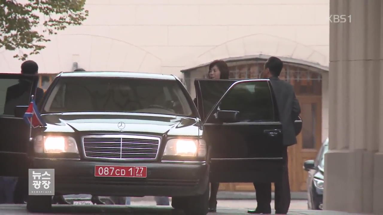 北 외무성 국장 러시아 도착…남북·북미 접촉?