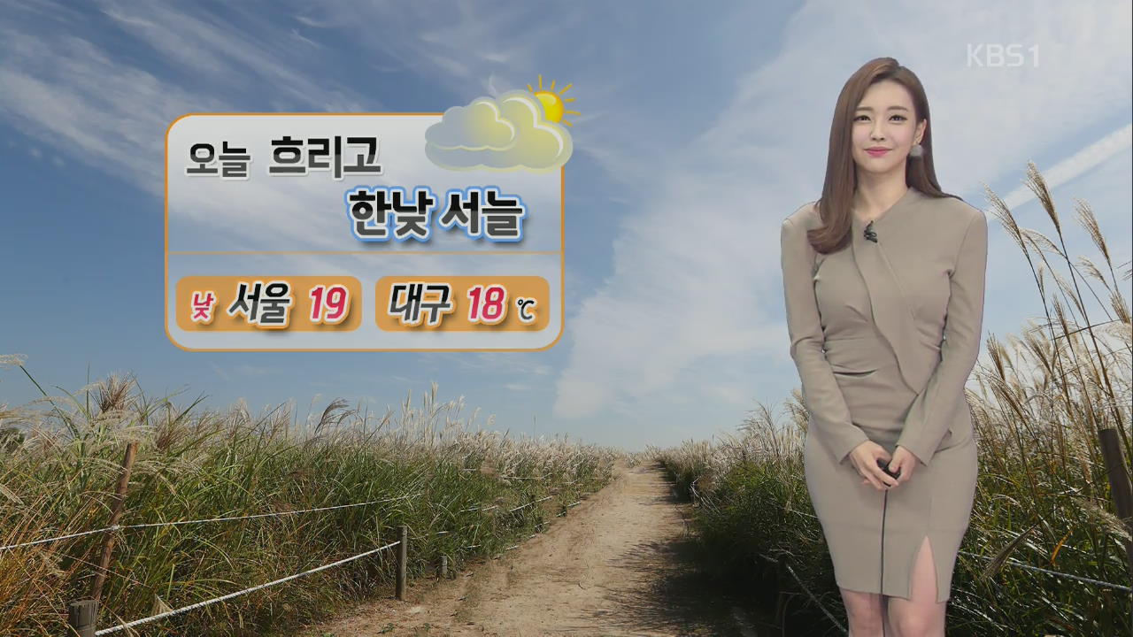 [날씨와 생활정보] 가을엔 역시 ‘갈대와 억새’…구별법은?