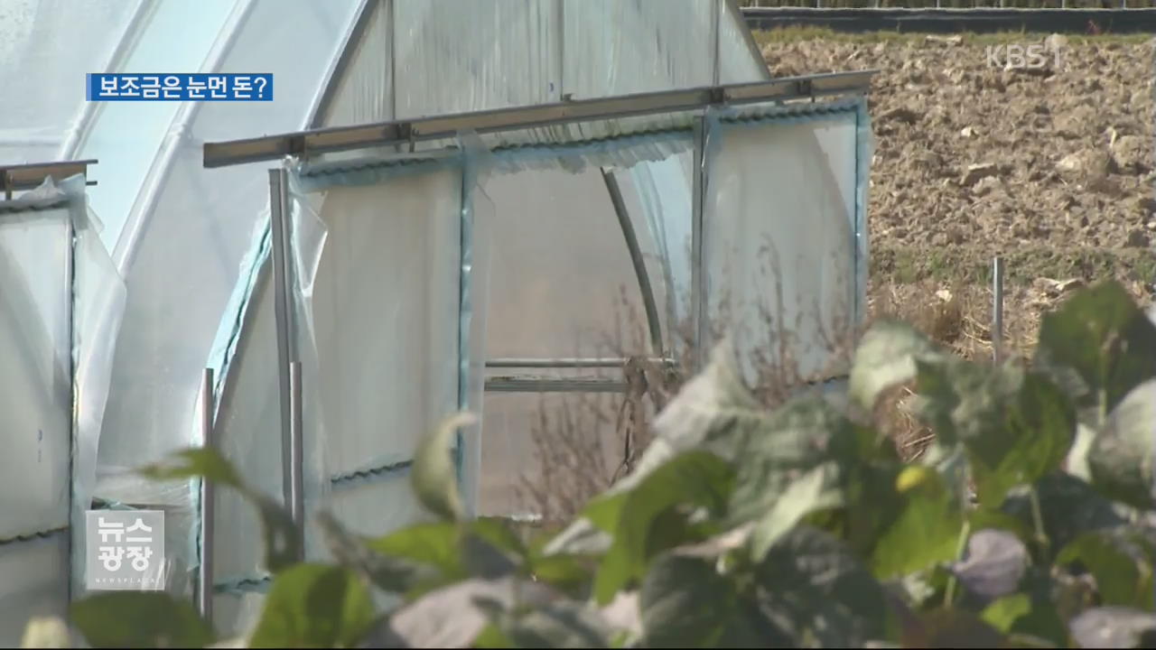 관리 허술에 비닐하우스 보조금 부정수급 만연