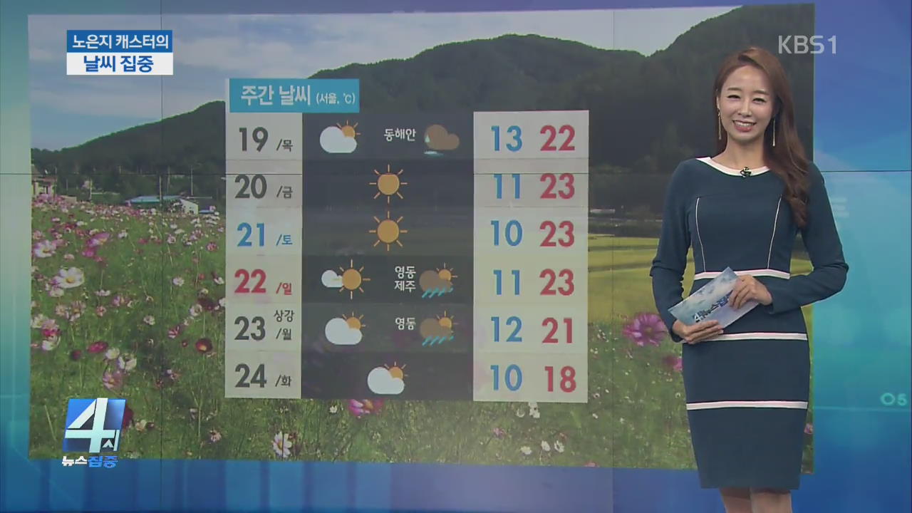 [날씨 집중] 분홍색 ‘핑크뮬리’ 인기