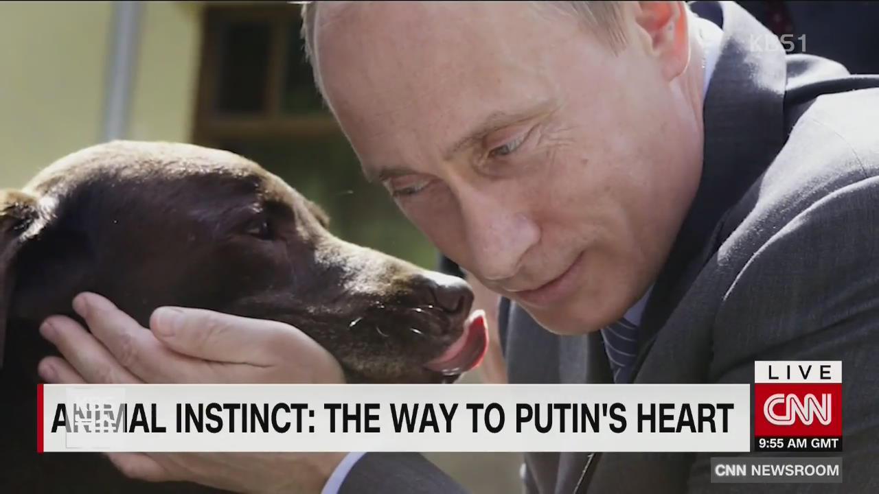 푸틴 러시아 대통령의 남다른 동물 사랑!