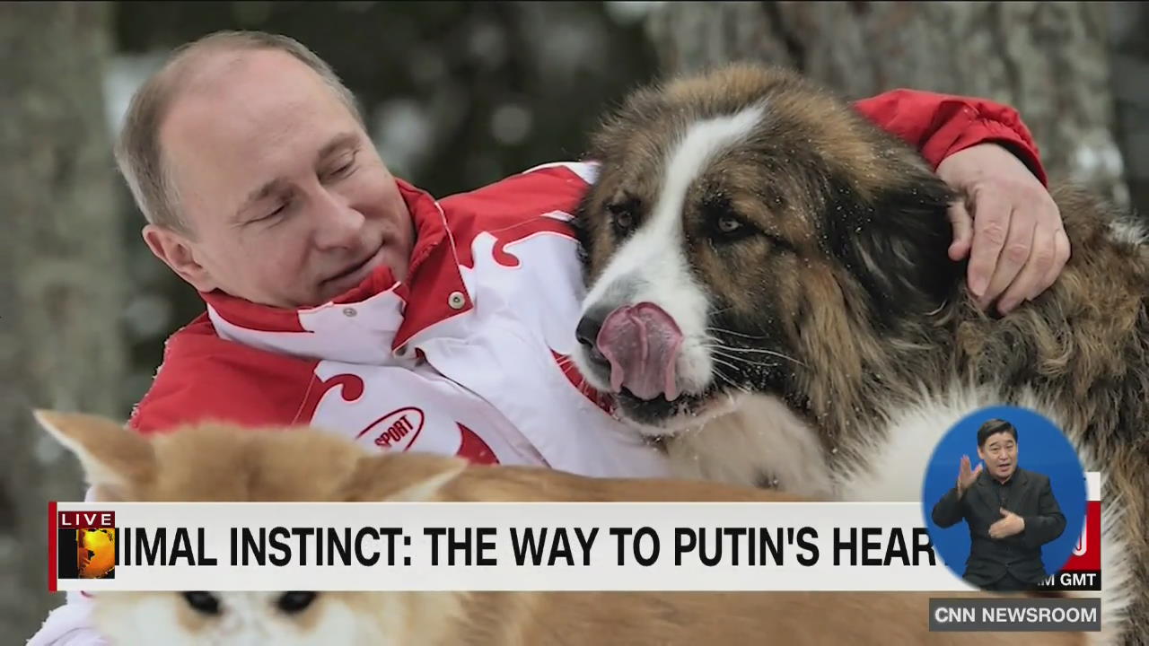 푸틴 러시아 대통령의 남다른 동물 사랑!