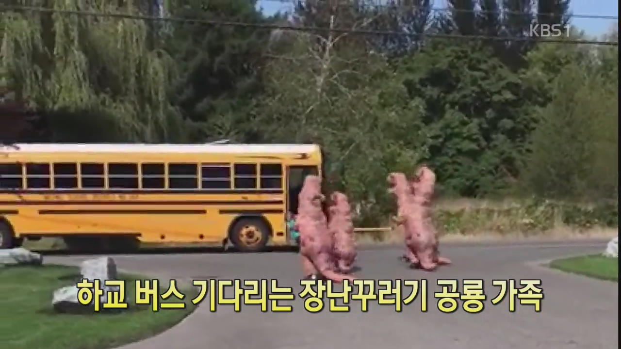 [디지털 광장] 하교 버스 기다리는 장난꾸러기 공룡 가족