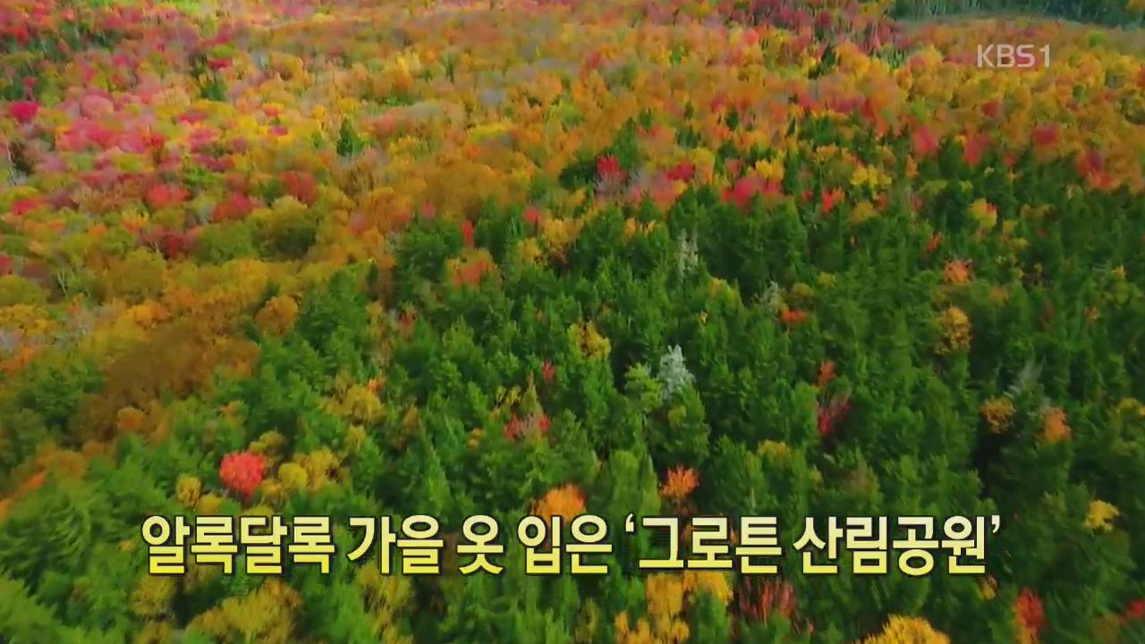 [디지털 광장] 알록달록 가을 옷 입은 ‘그로튼 산림공원’
