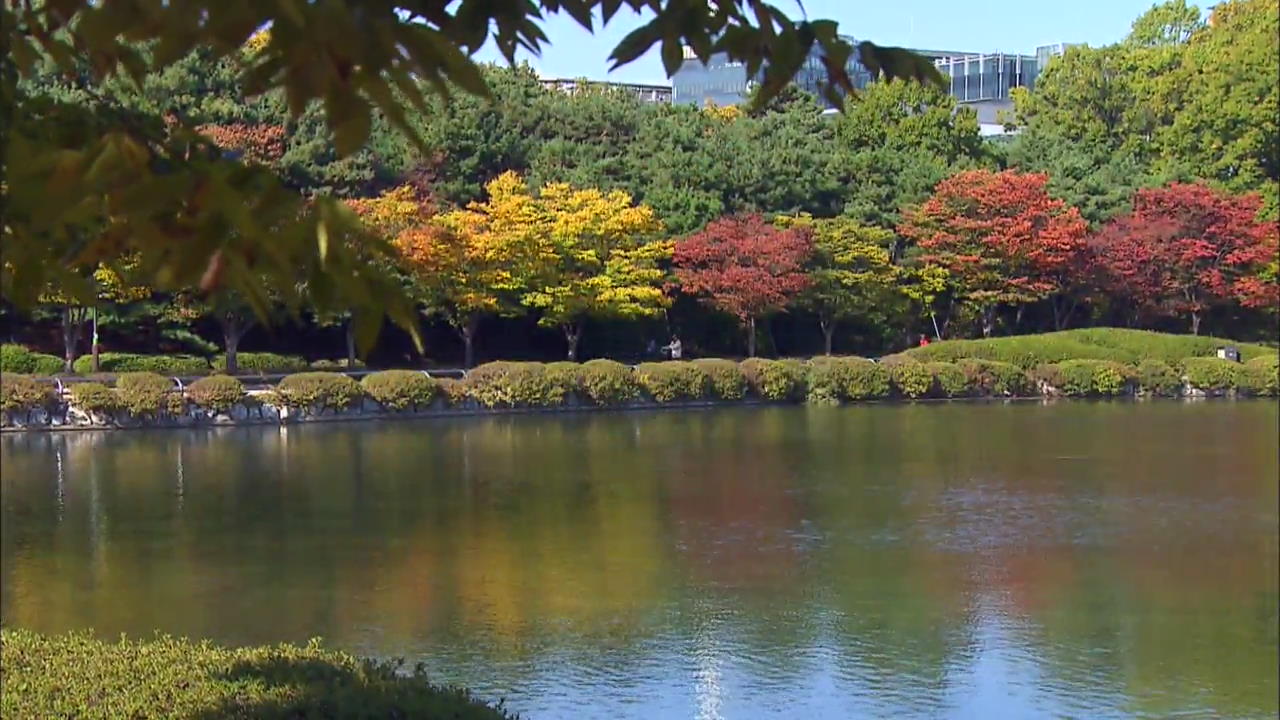 [Korea Snapshot] Autumn View on the Riverside