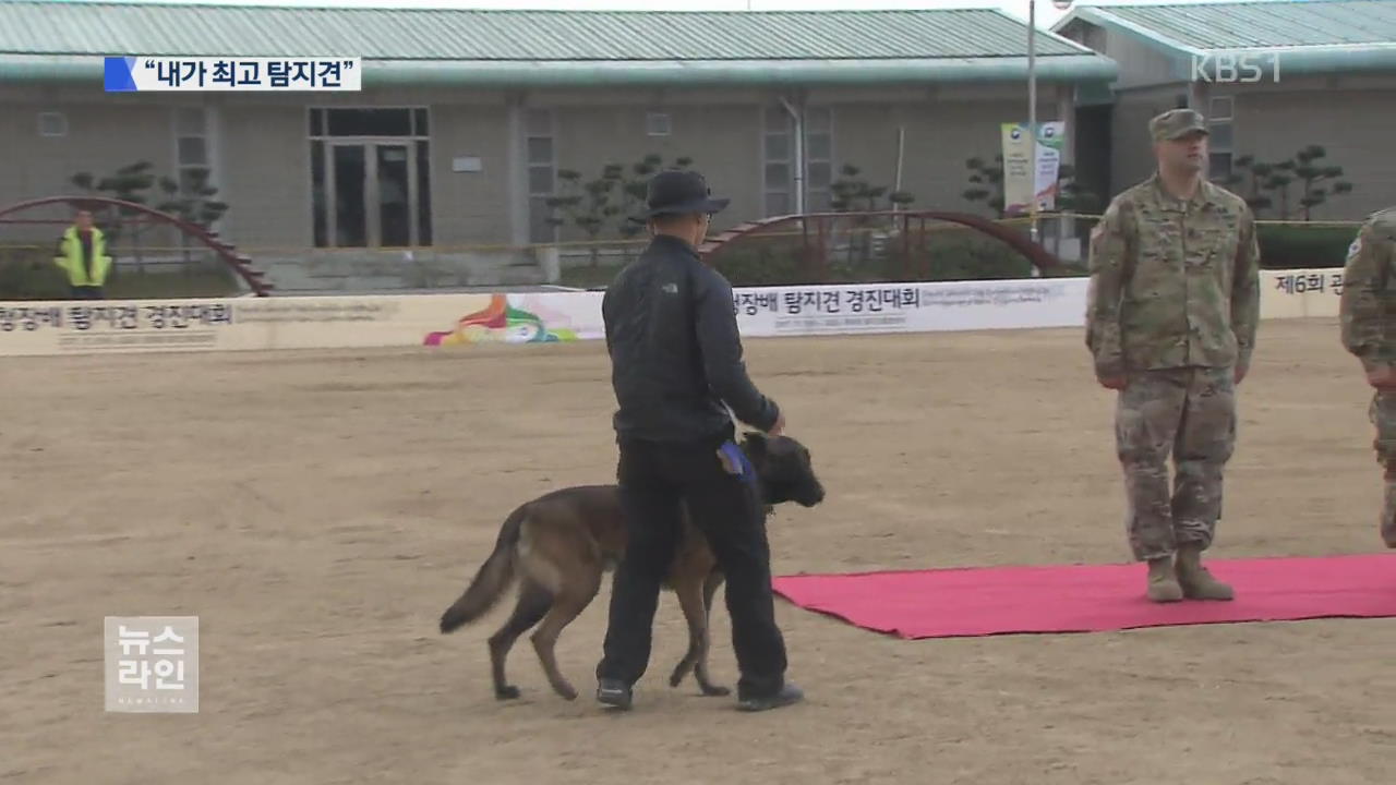 탐지견 총출동…마약·폭발물 꼼짝 마!