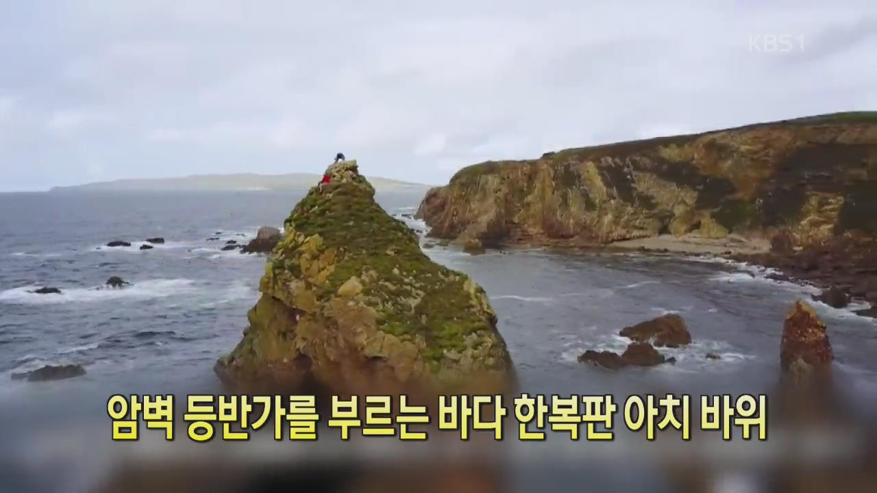 [디지털 광장] 암벽 등반가를 부르는 바다 한복판 아치 바위
