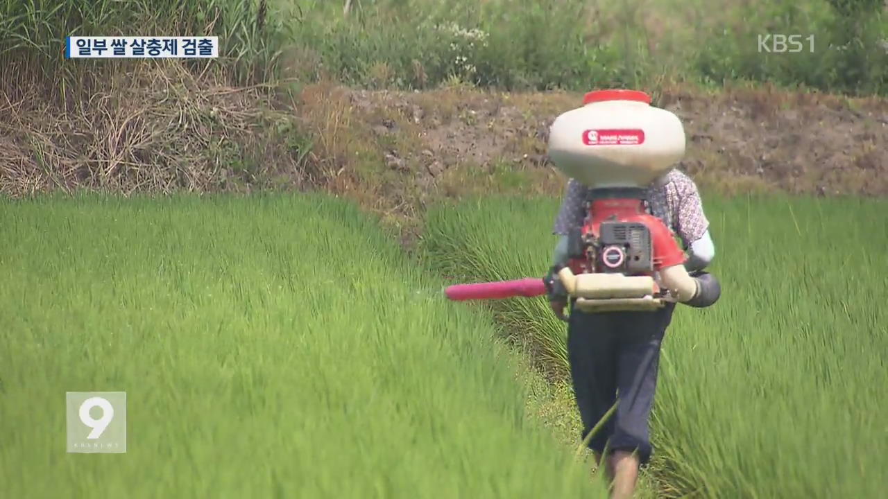 일부 쌀에서 ‘발암’ 살충제 검출…허용치 14배 초과