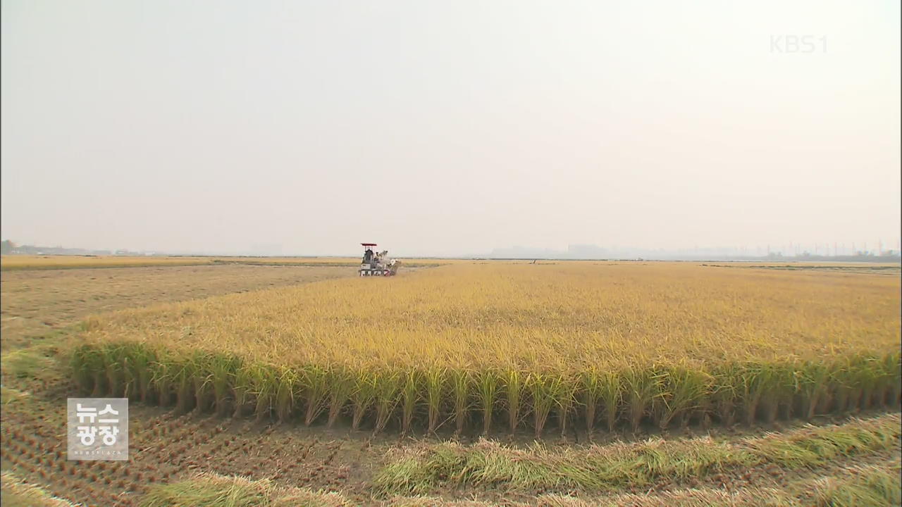 “일부 쌀에 살충제 검출…허용 기준 14배 초과”