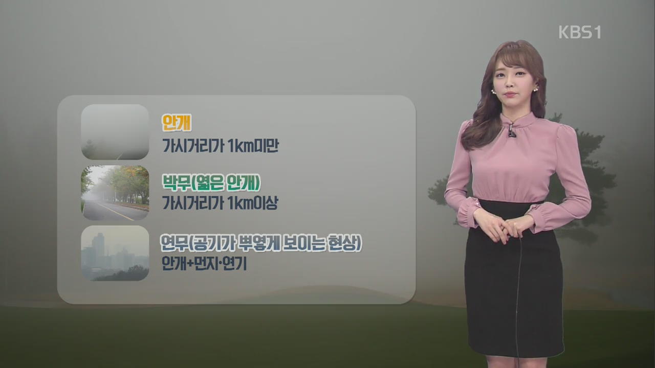 [날씨와 생활정보] 안개·박무·연무의 의미는?