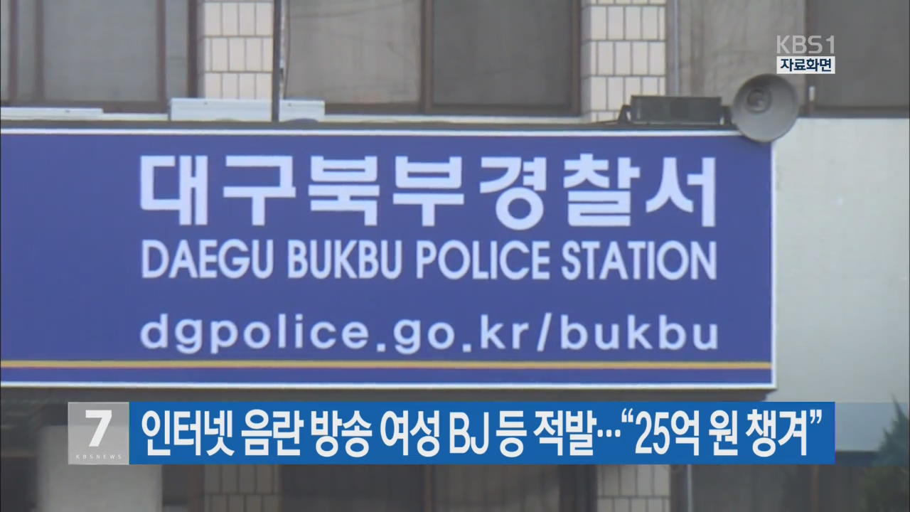 인터넷 음란 방송 여성 BJ 등 적발…“25억 원 챙겨”