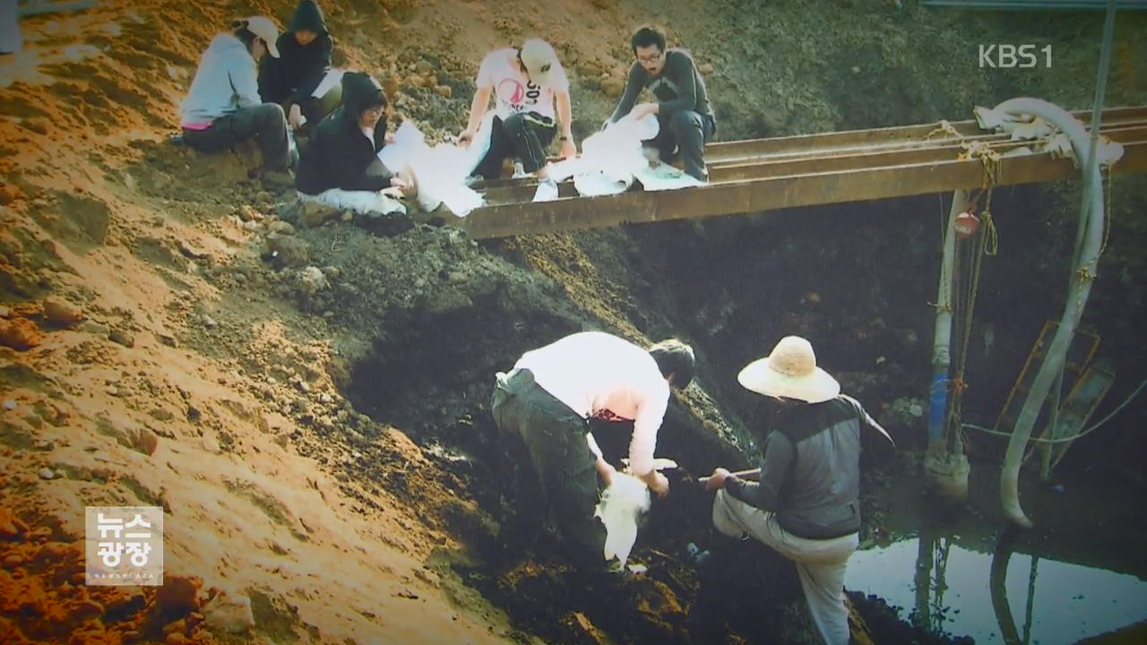 김포서 쌀 꽃가루 화석 검출…“3,500년 전 논농사”