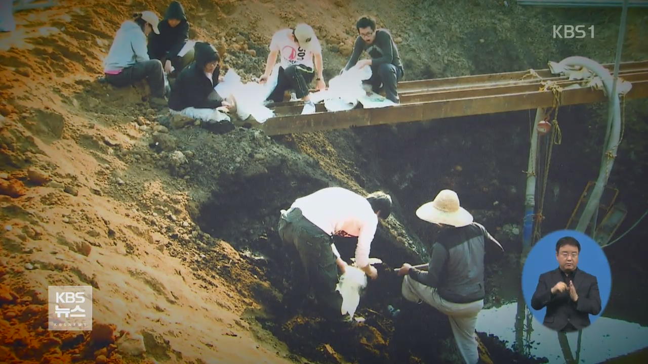 김포서 ‘쌀 꽃가루 화석’ 검출…“3,500년 전 논농사”