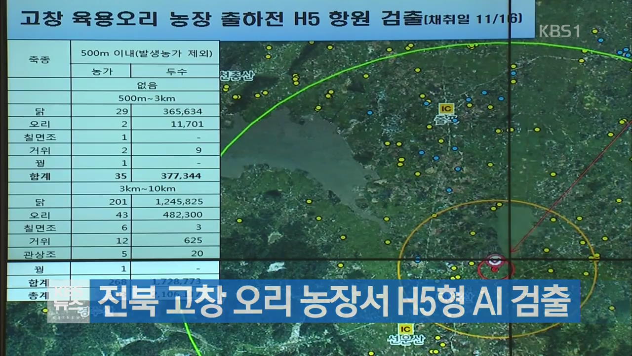 전북 고창 오리 농장서 H5형 AI 검출