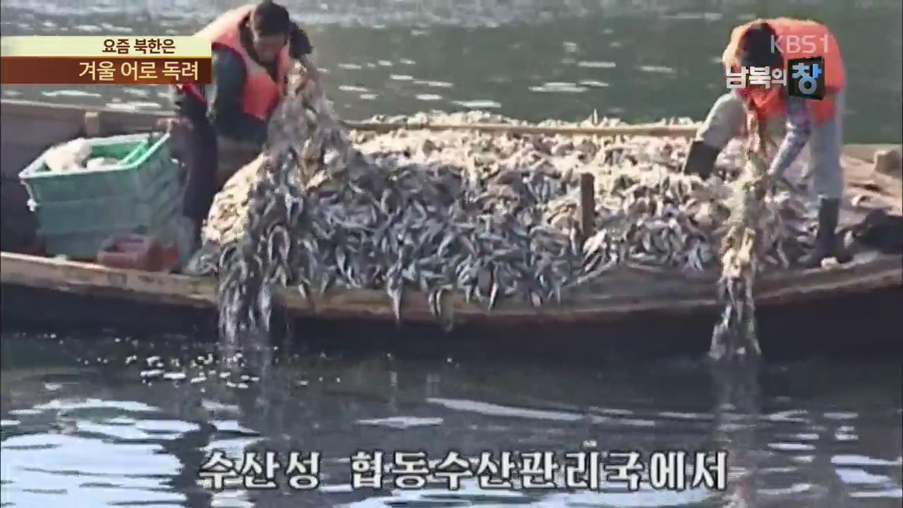 [요즘 북한은] “황금해 역사를 빛내자”…겨울 물고기잡이 전투 외
