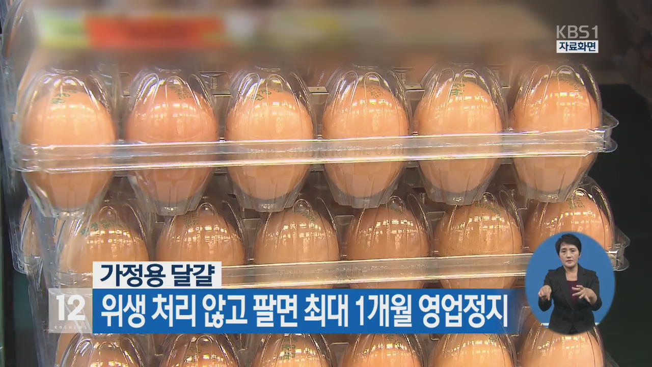 가정용 달걀, 위생 처리 않고 팔면 최대 1개월 영업정지