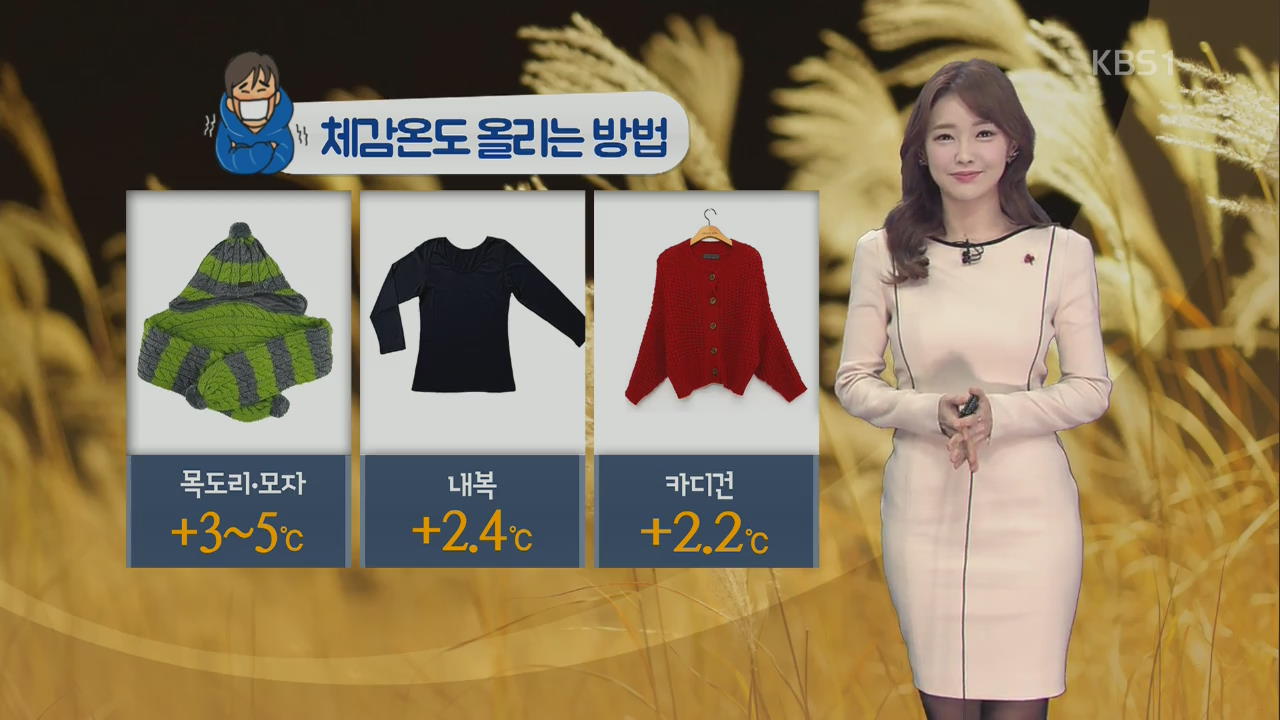 [날씨와 생활 정보] 중부 내륙 한파주의보…체감온도 올리는 방법!