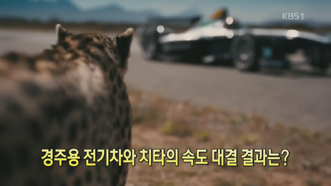 [디지털 광장] 경주용 전기차와 치타의 속도 대결 결과는?